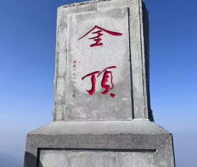 兔飛猛進(jìn)兆豐年，用團(tuán)建喚醒團(tuán)隊(duì)活力